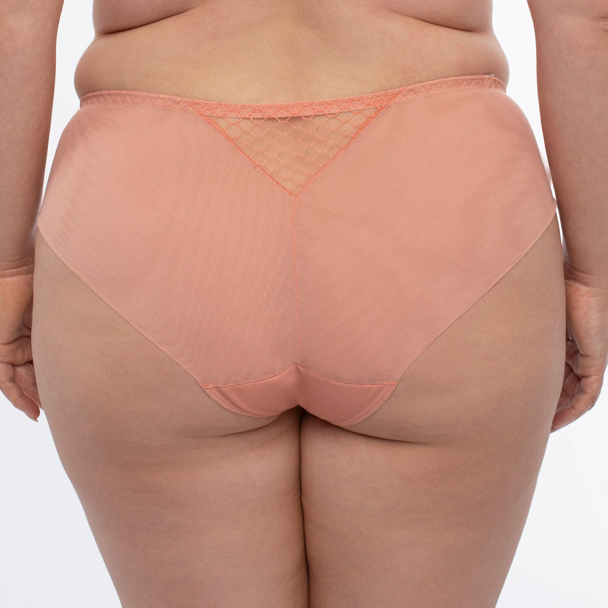 Samanta Lea Apricot Sheer Mesh Tulle Bikini Panty