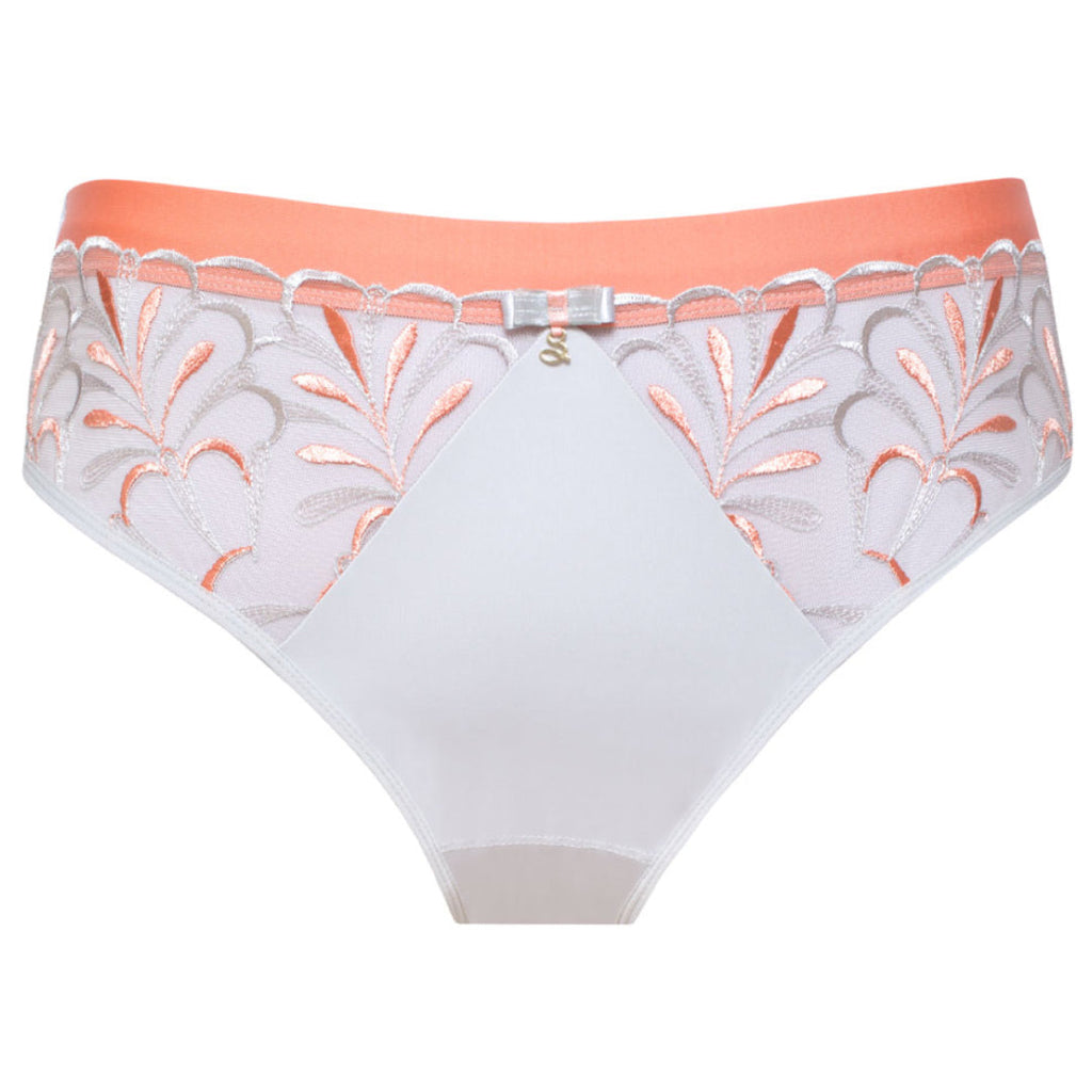 Samanta Sweet Gray Sheer Mesh Tulle Embroidered Brief Panty