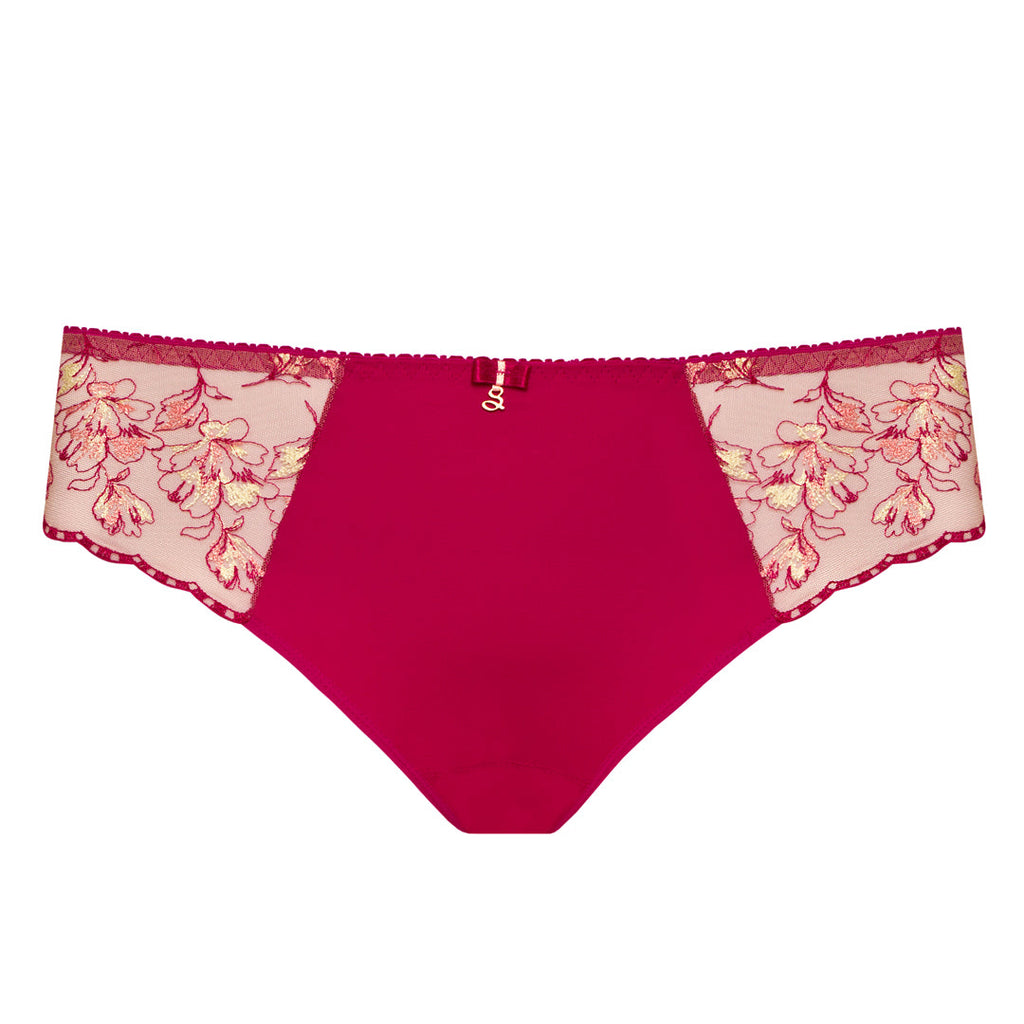 Samanta Daniela Red Sheer Mesh Tulle Embroidered Bikini Panty
