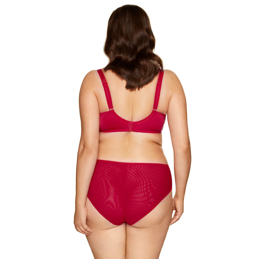Gorteks Pamela Red Semi Sheer Low Rise Bikini Panty